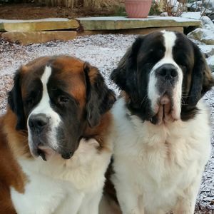 Meet your Posher, Susann